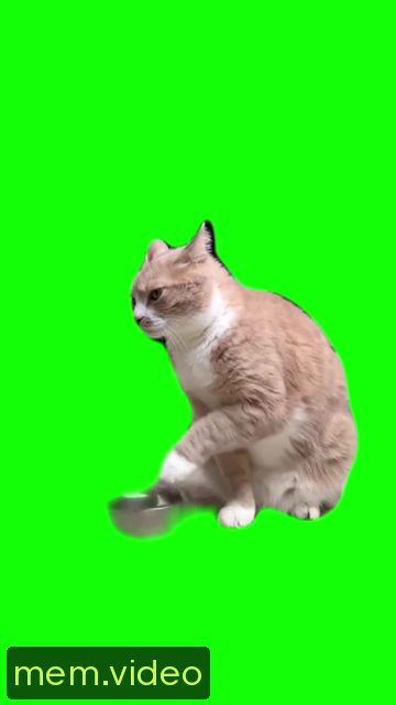 Кадр на 0:05
