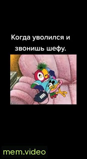 Кадр на 0:00