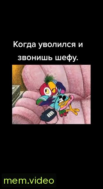 Кадр на 0:01