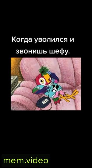 Кадр на 0:02