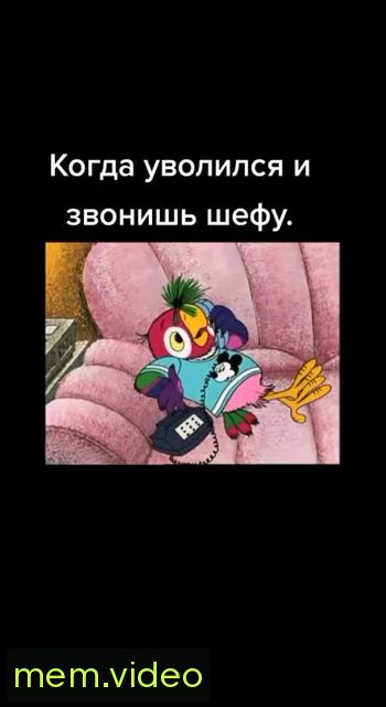 Кадр на 0:03