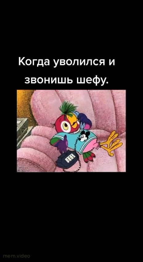 Кадр: Попугай Кеша звонит по телефону: купаюсь в бассейне, пью джус
