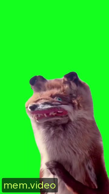 Кадр на 0:00