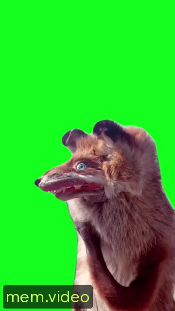 Кадр на 0:04