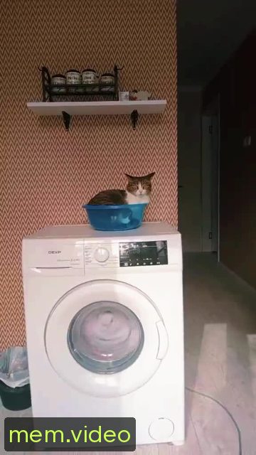 Кадр на 0:00