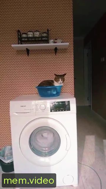 Кадр на 0:01