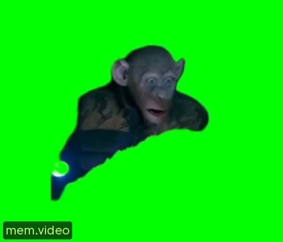 Кадр на 0:00