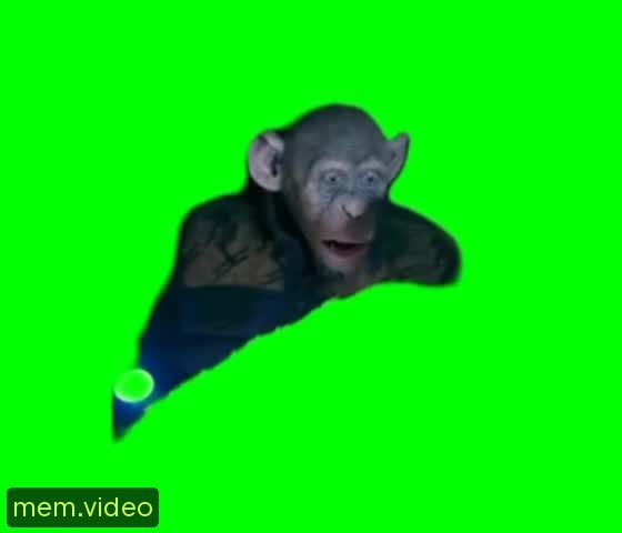 Кадр на 0:00
