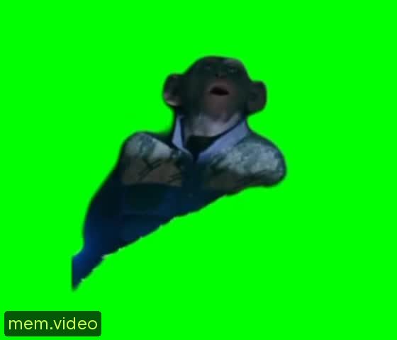 Кадр на 0:01