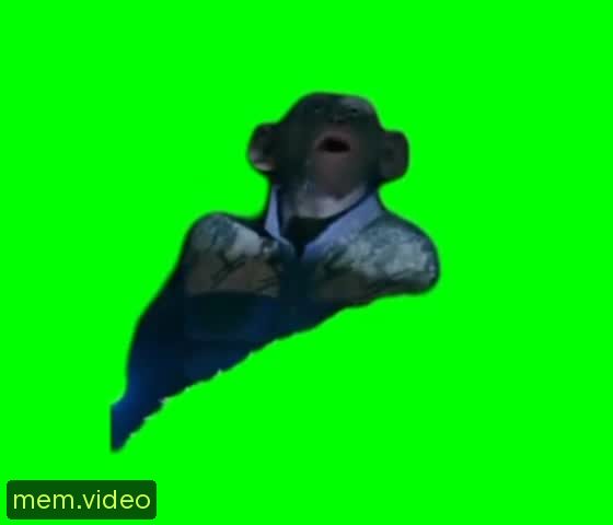 Кадр на 0:02