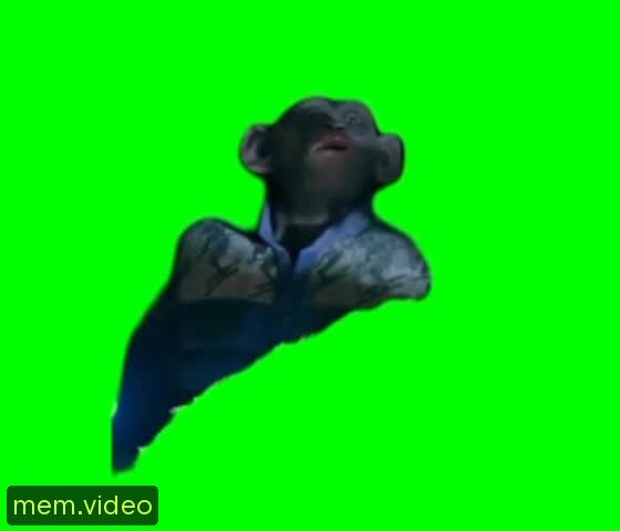 Кадр на 0:03