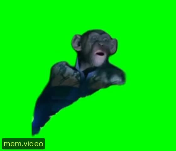 Кадр на 0:04
