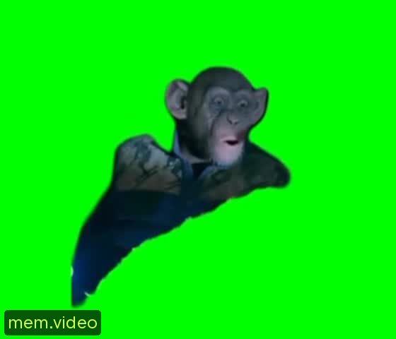 Кадр на 0:04