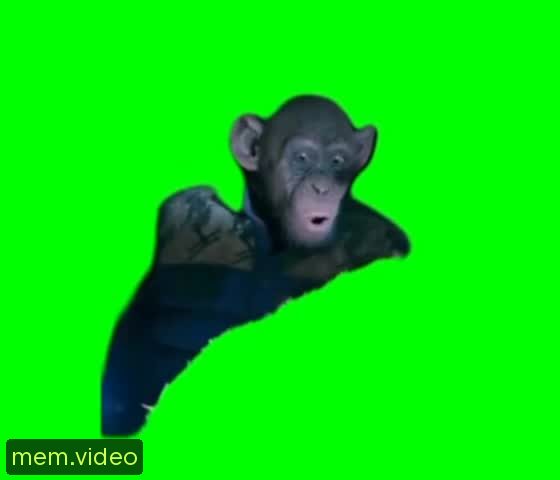 Кадр на 0:05