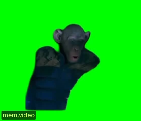 Кадр на 0:05