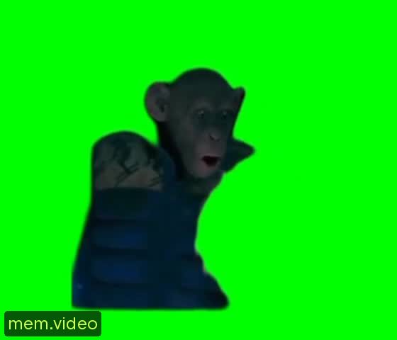 Кадр на 0:06