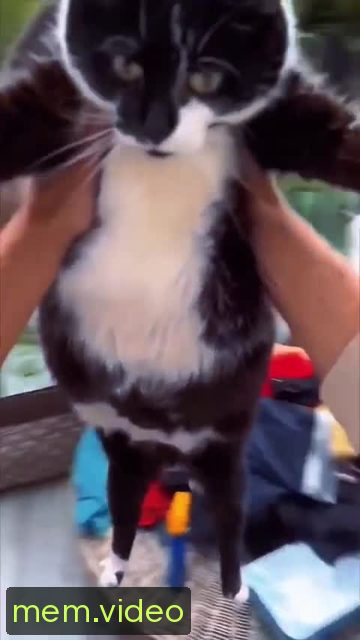 Кадр на 0:01