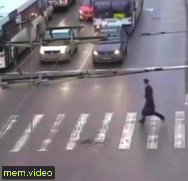 Кадр на 0:00