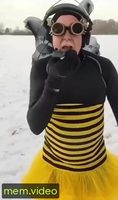 Кадр на 0:00