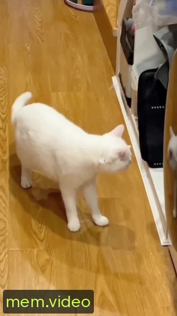 Кадр на 0:05