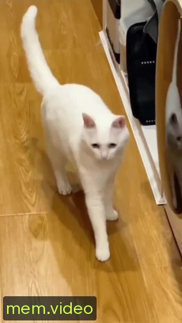 Кадр на 0:09