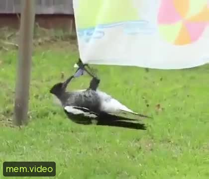 Кадр на 0:03