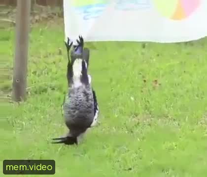 Кадр на 0:08