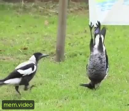 Кадр на 0:10