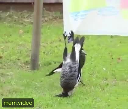 Кадр на 0:12