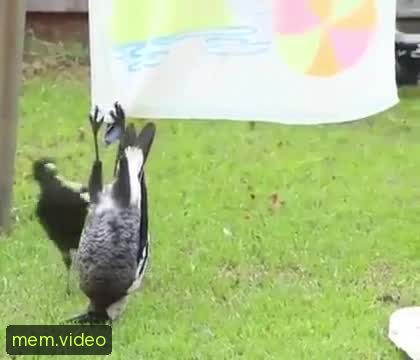 Кадр на 0:15
