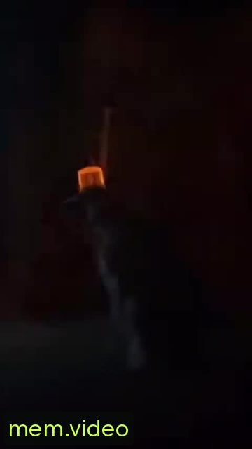 Кадр на 0:00