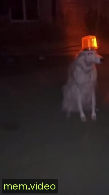 Кадр на 0:04