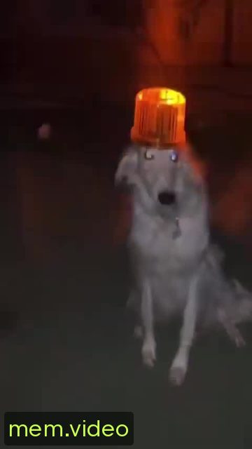Кадр на 0:08