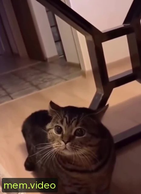 Кадр на 0:02