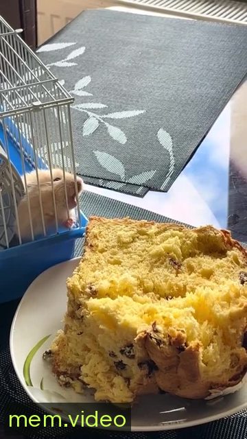 Кадр на 0:14