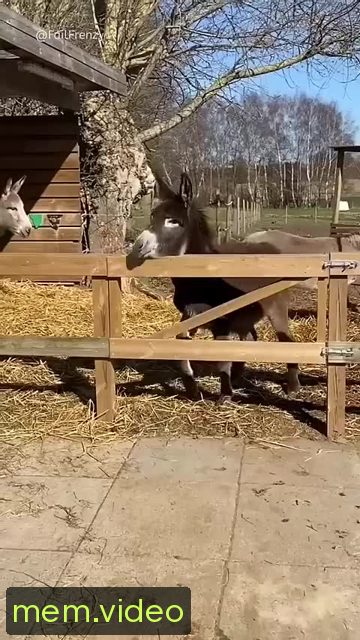 Кадр на 0:00