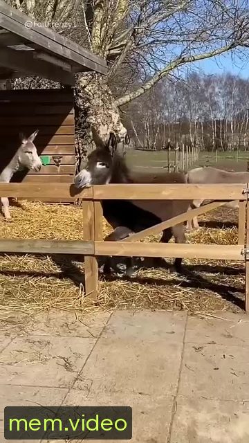 Кадр на 0:00