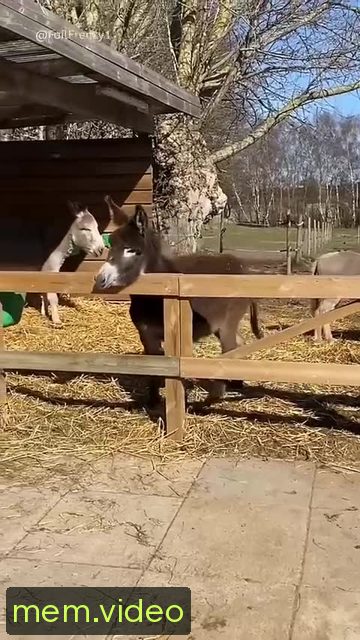 Кадр на 0:01