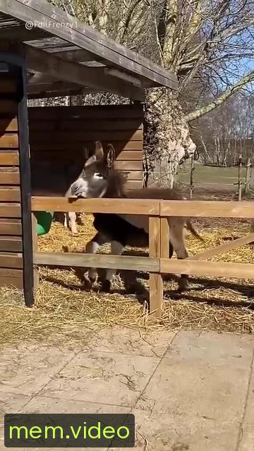 Кадр на 0:02