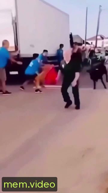 Кадр на 0:00