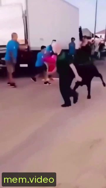 Кадр на 0:00