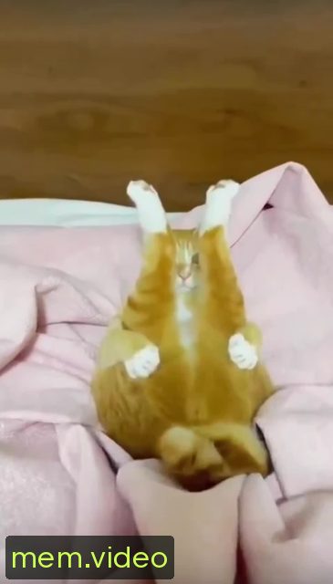 Кадр на 0:01