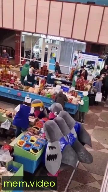 Кадр на 0:02