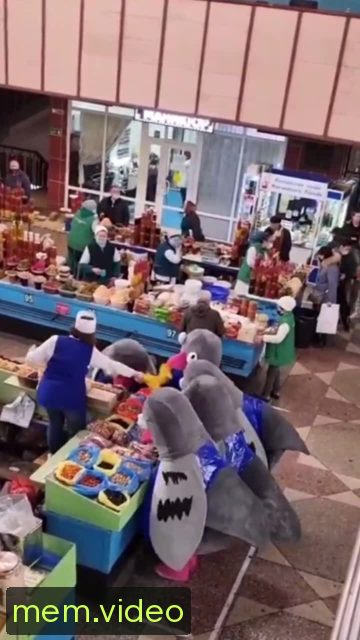 Кадр на 0:02