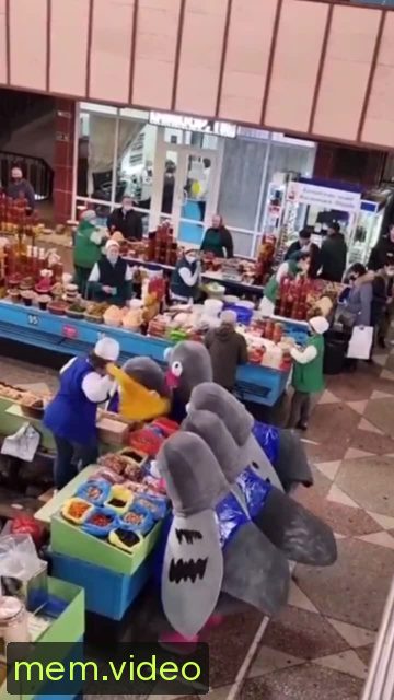 Кадр на 0:03