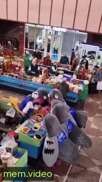 Кадр на 0:04