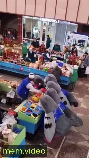 Кадр на 0:05