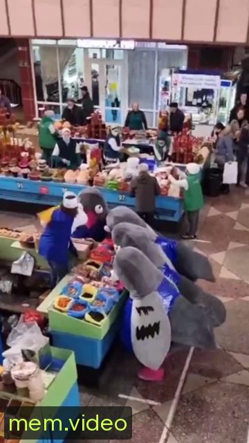 Кадр на 0:05