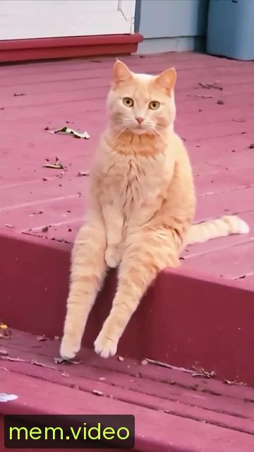 Кадр на 0:16