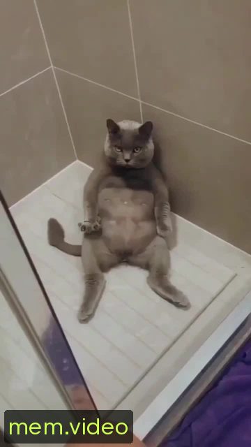 Кадр на 0:00